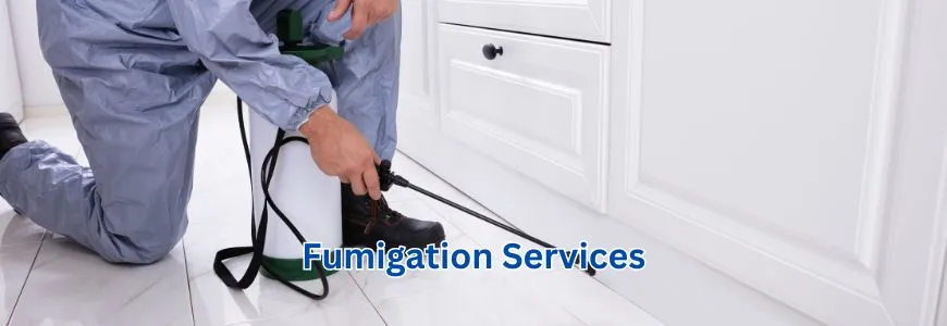 Fumigation Services In Karachi